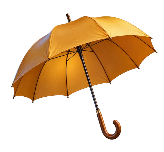 umbrella
